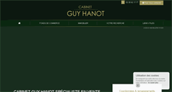 Desktop Screenshot of cabinetguyhanot.com