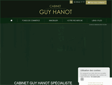 Tablet Screenshot of cabinetguyhanot.com